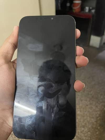 Apple iPhone 12 Pro Max