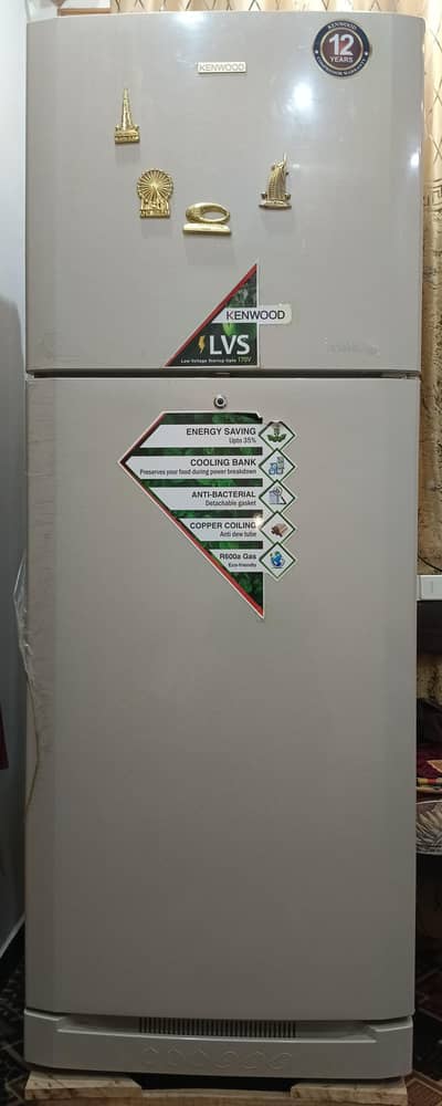 jumbo size refrigerator