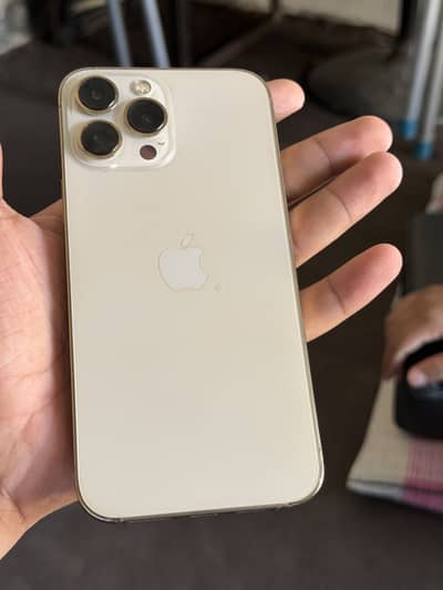 Apple iPhone 13 Pro Max