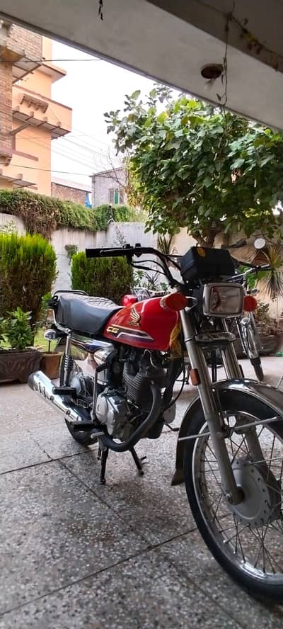 Honda CG 125 2023,2024 strickering