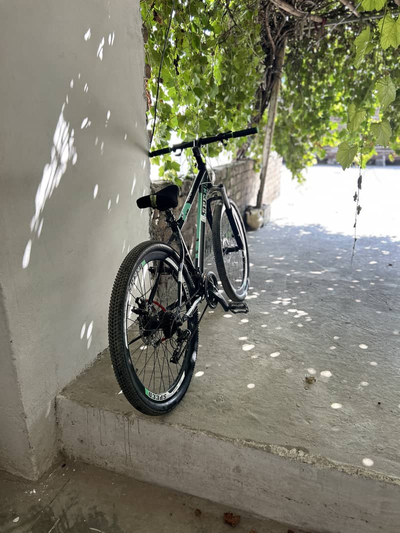 Cycle 8