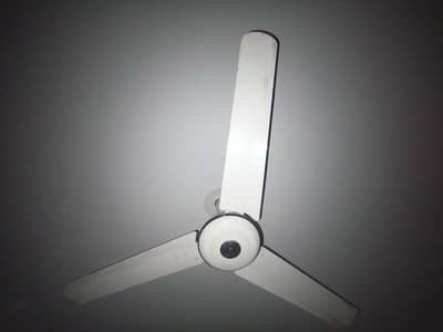 Pak Fan