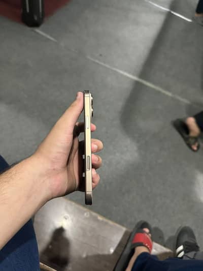 Apple iPhone 16 Pro Max factory unlock