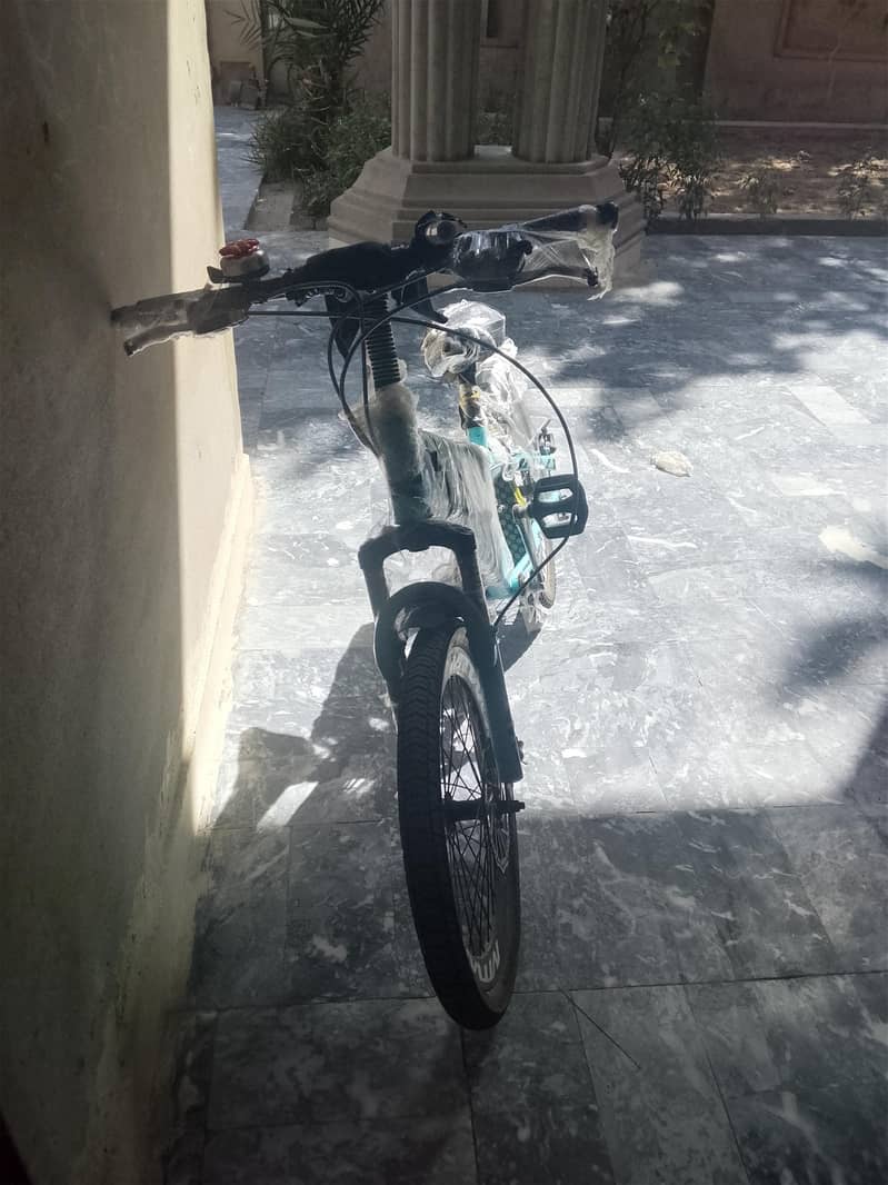 cycle 6