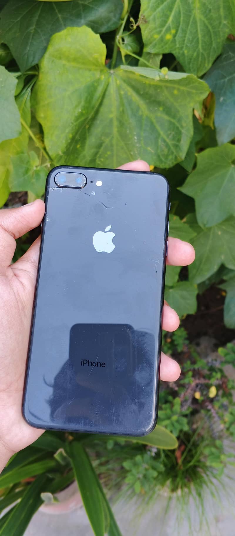 Apple iPhone 8 Plus 2