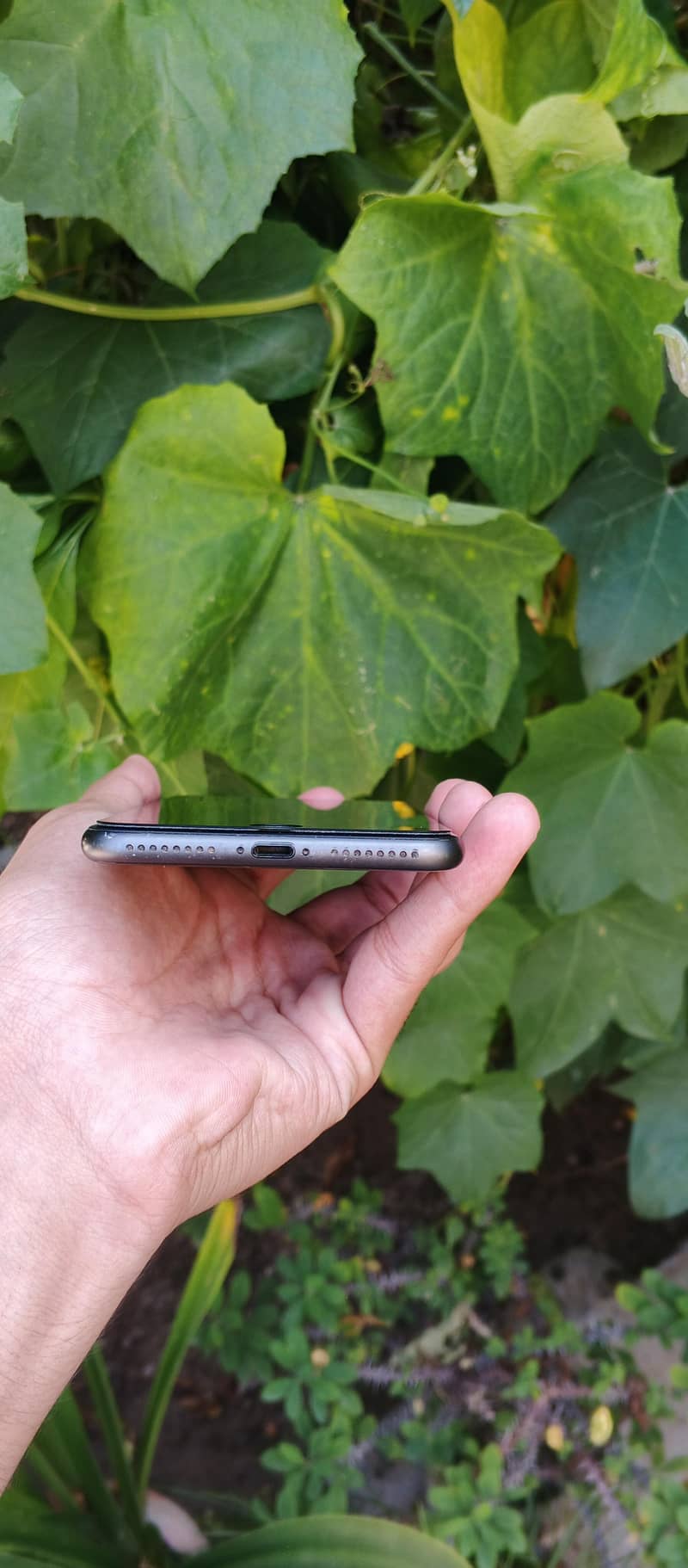Apple iPhone 8 Plus 3