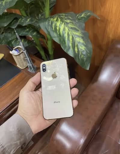 Apple iPhone XS