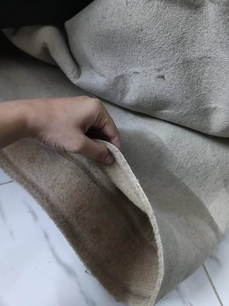 Light brown carpet 2
