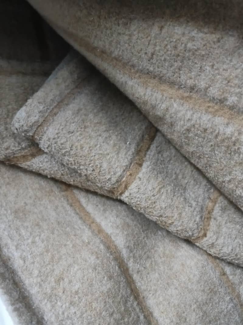 Light brown carpet 4