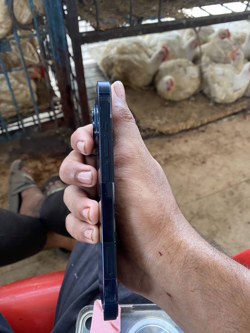 Apple iPhone 13 0