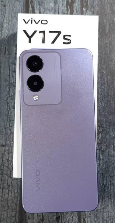 Vivo Y17s