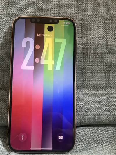 Apple iPhone 12 Pro Max