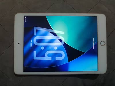 iPad mini 5