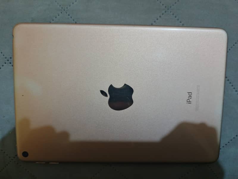 iPad mini 5 1