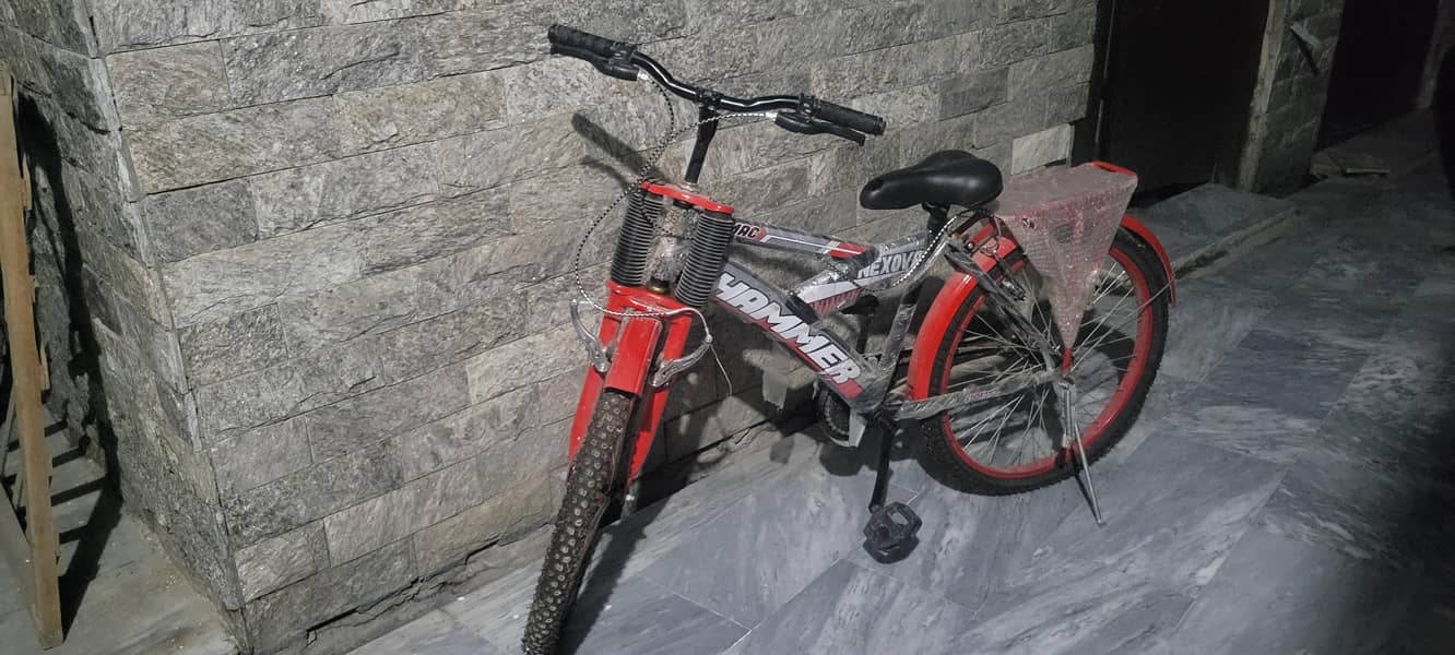 Biycle 1