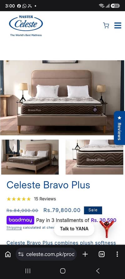 molty celeste bravo plus