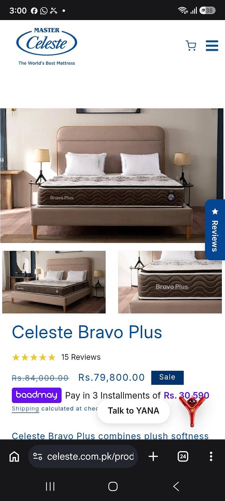 molty celeste bravo plus 0