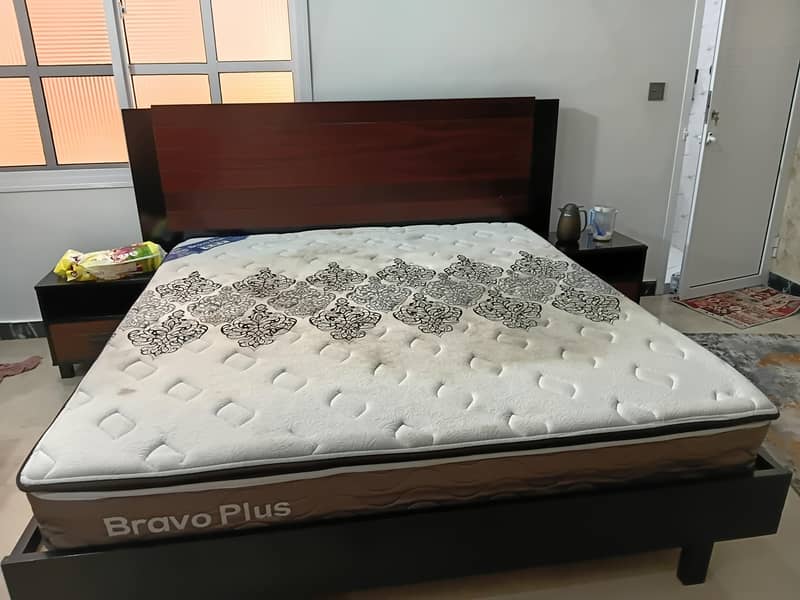 molty celeste bravo plus 4