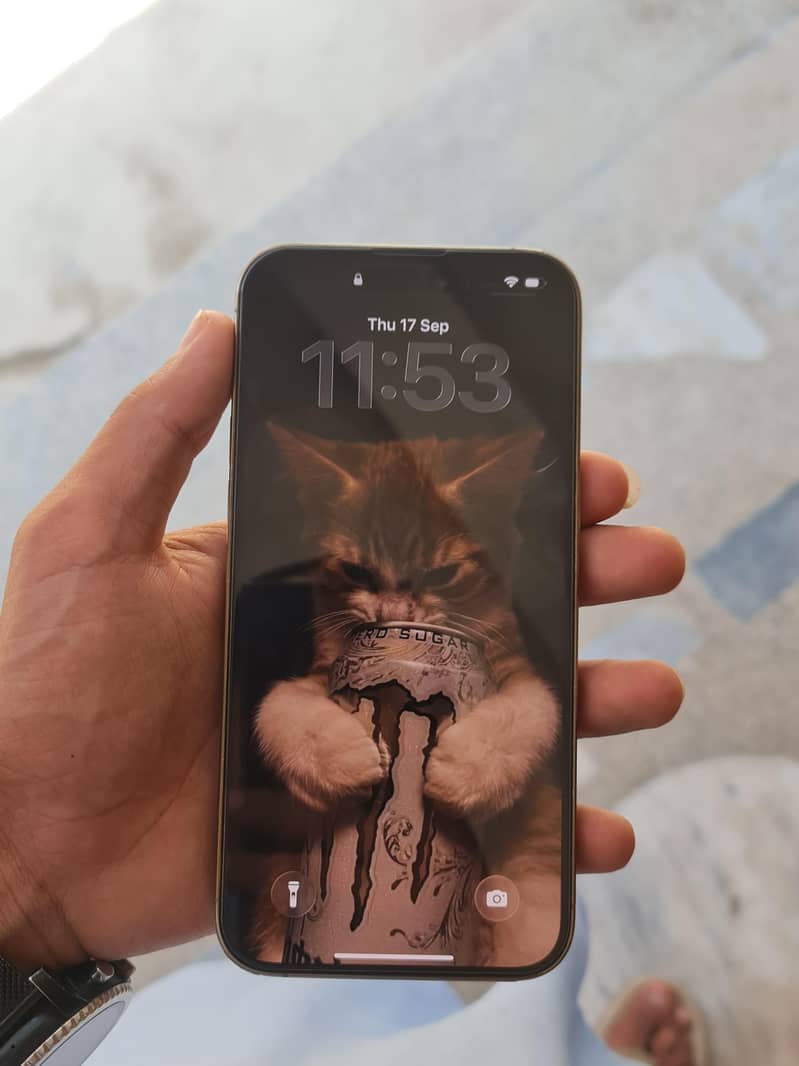 iphone 14 pro max 9