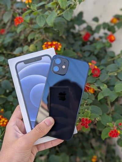 Apple iPhone 12 Non Pta with box