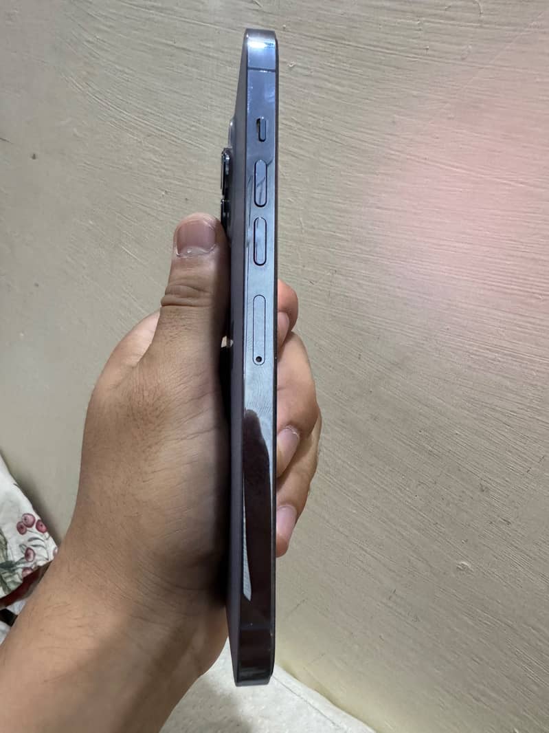 Apple iPhone 13 Pro Max 0