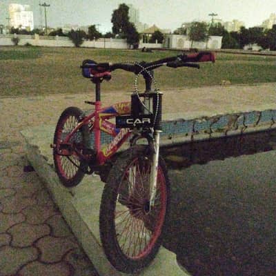 Mountain Cycle For Sale