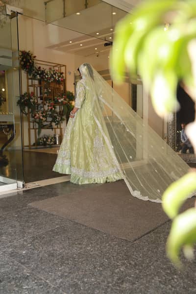Beautiful Pista Green Walima Maxi - Long Tail dupatta