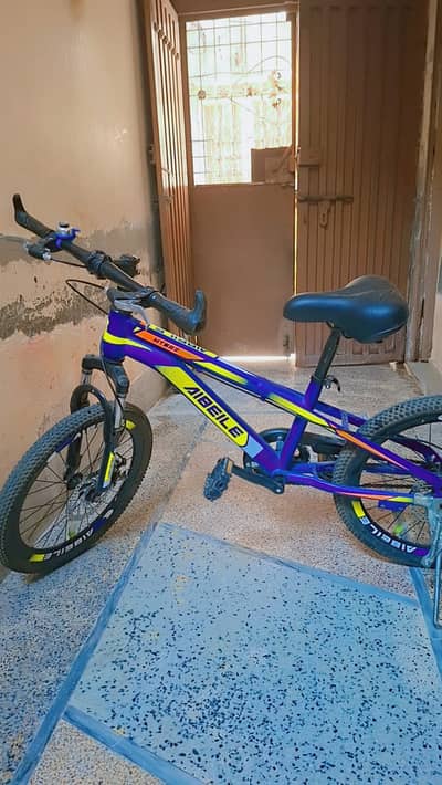 Stylish bicycle for kids