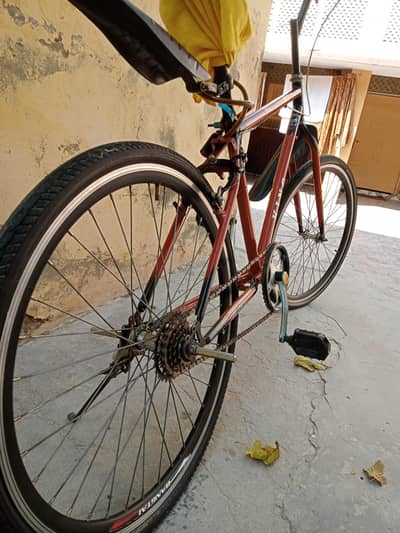 giant road bicycle