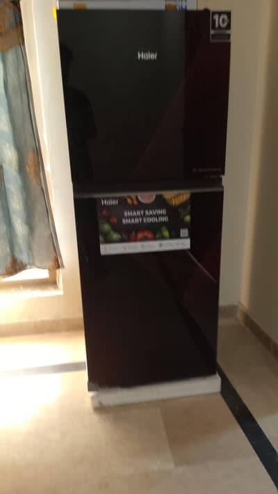 hair fridge
