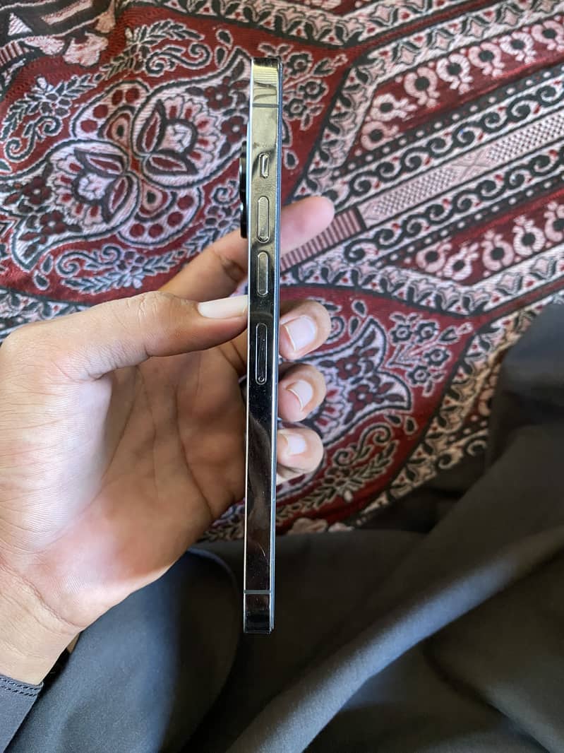 Apple iPhone 13 Pro Max 2