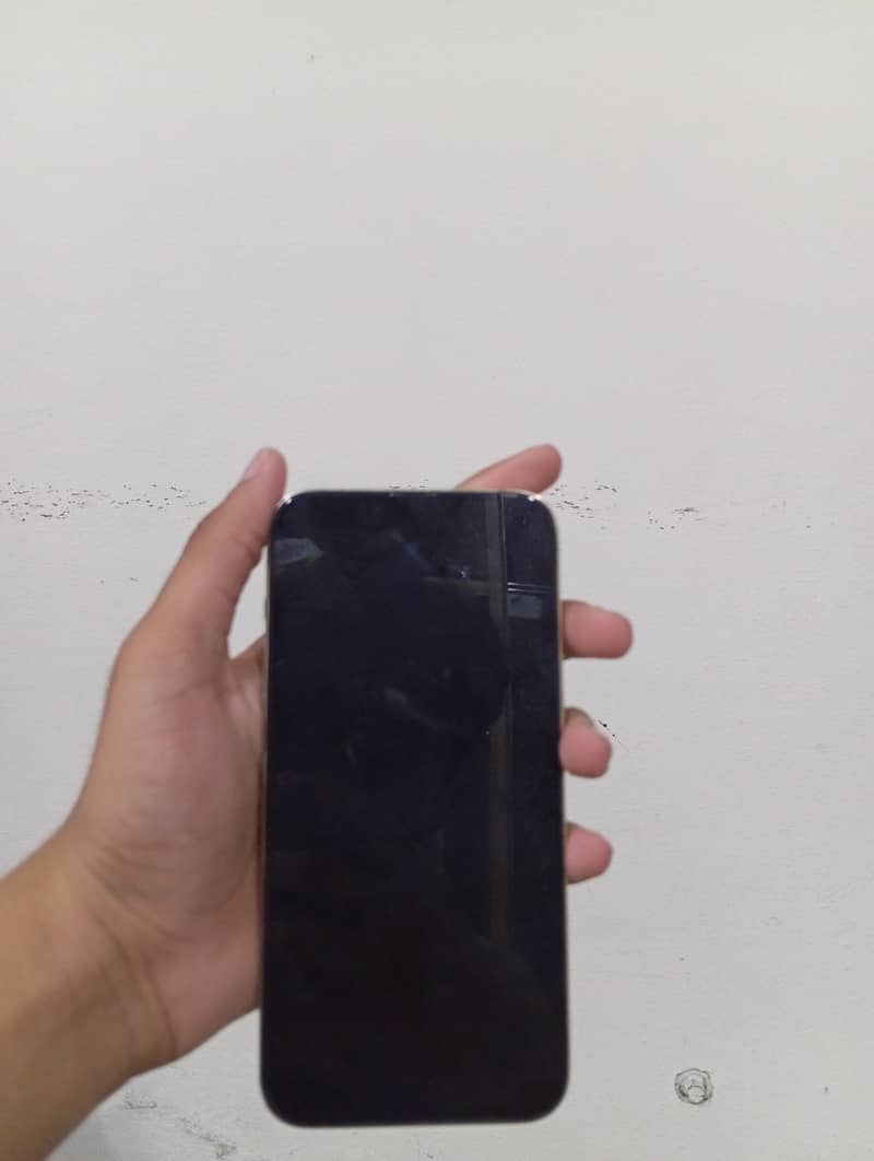 Apple iPhone 13 Pro Max 1