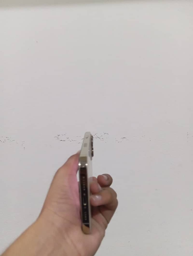 Apple iPhone 13 Pro Max 2