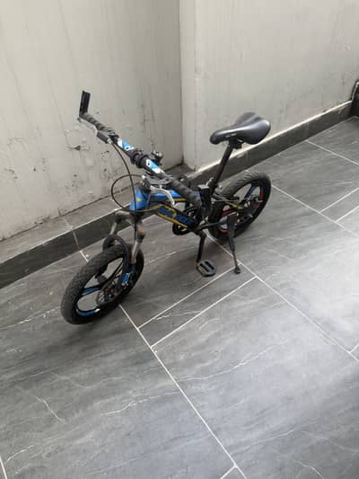 Child cycle