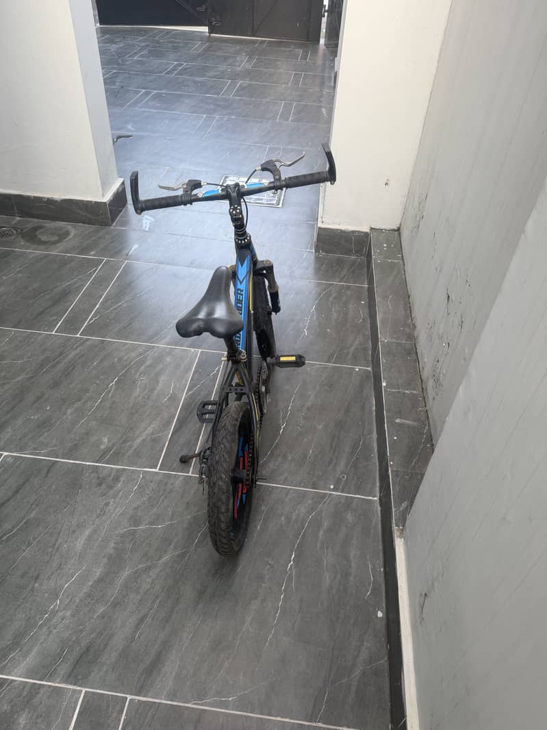 Child cycle 1