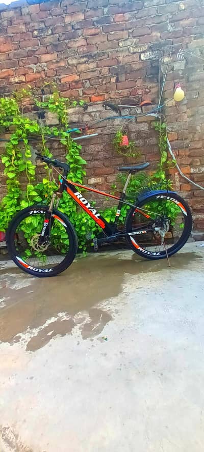 Royal Bicycle