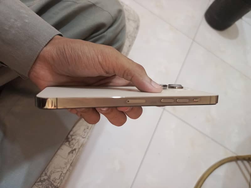 Apple iPhone 14 Pro Max 1