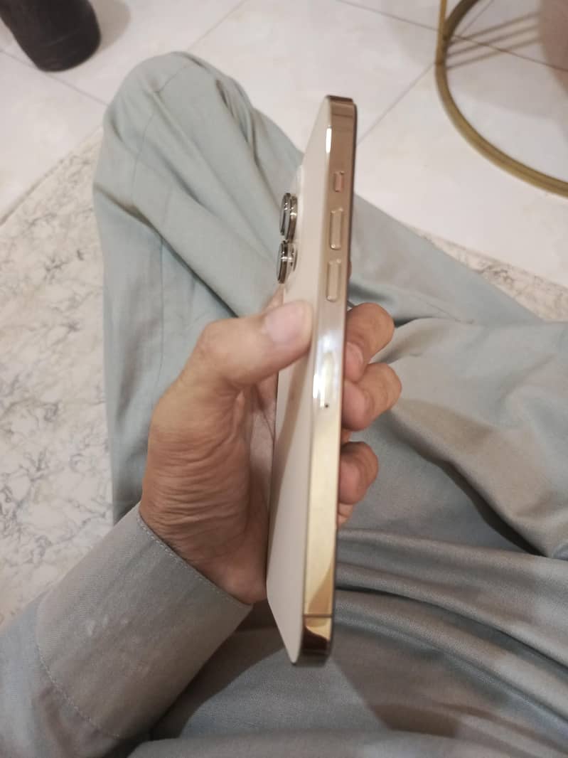 Apple iPhone 14 Pro Max 5
