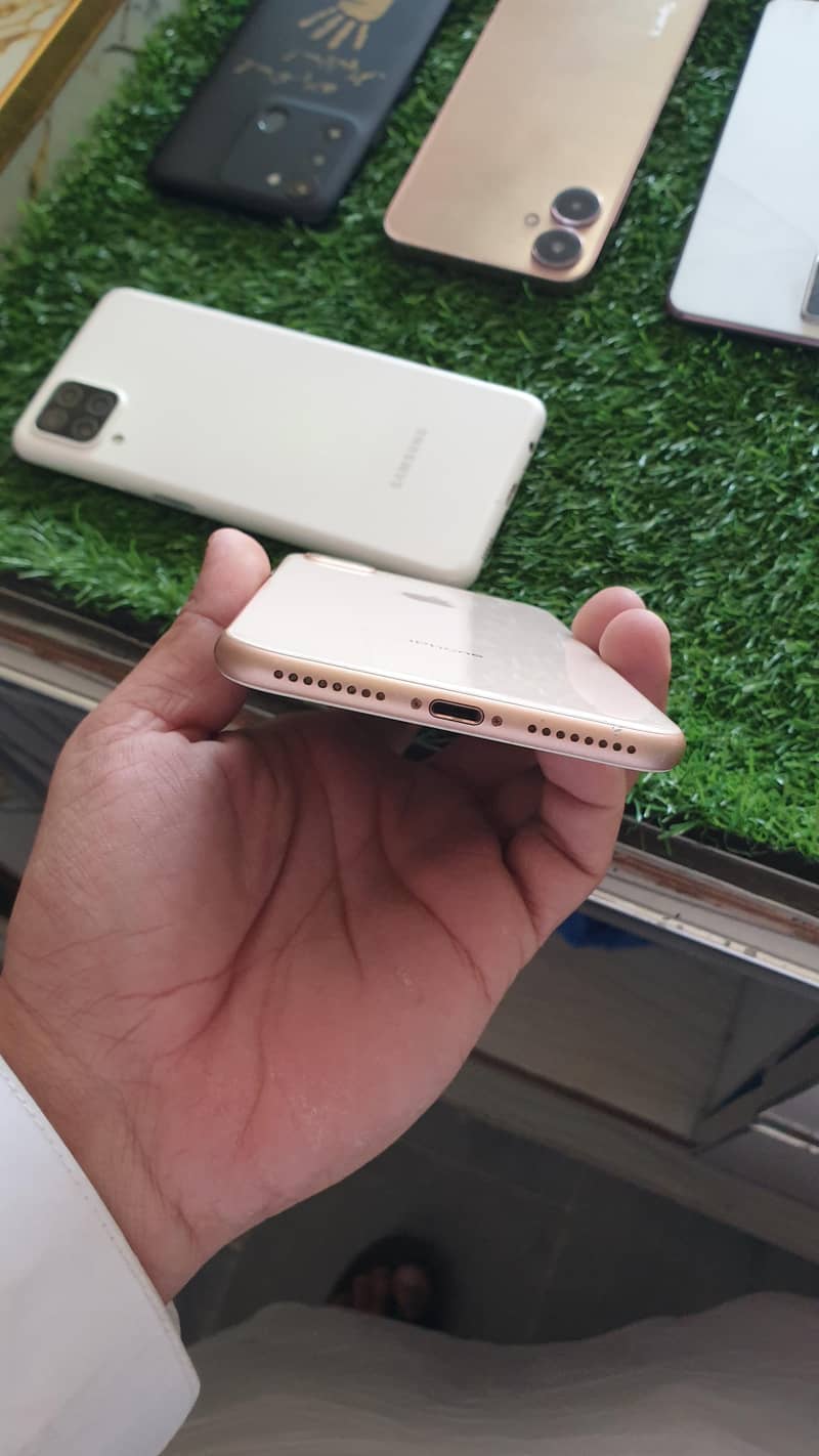 Apple iPhone 8 Plus 1