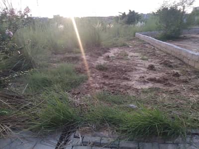 In Zamar Valley 9 Marla Residential Plot For sale