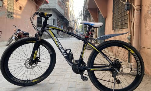 Bicycle EverGold Original Big Size