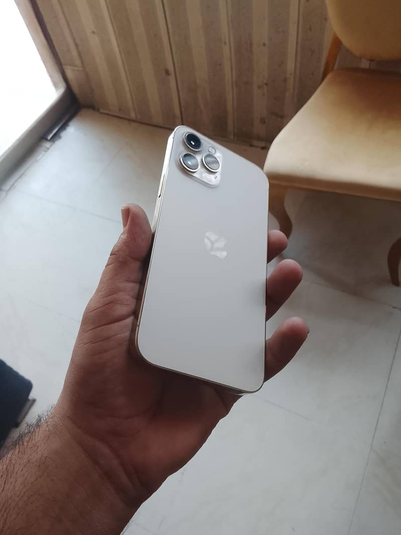 Apple iPhone 12 Pro Max 1