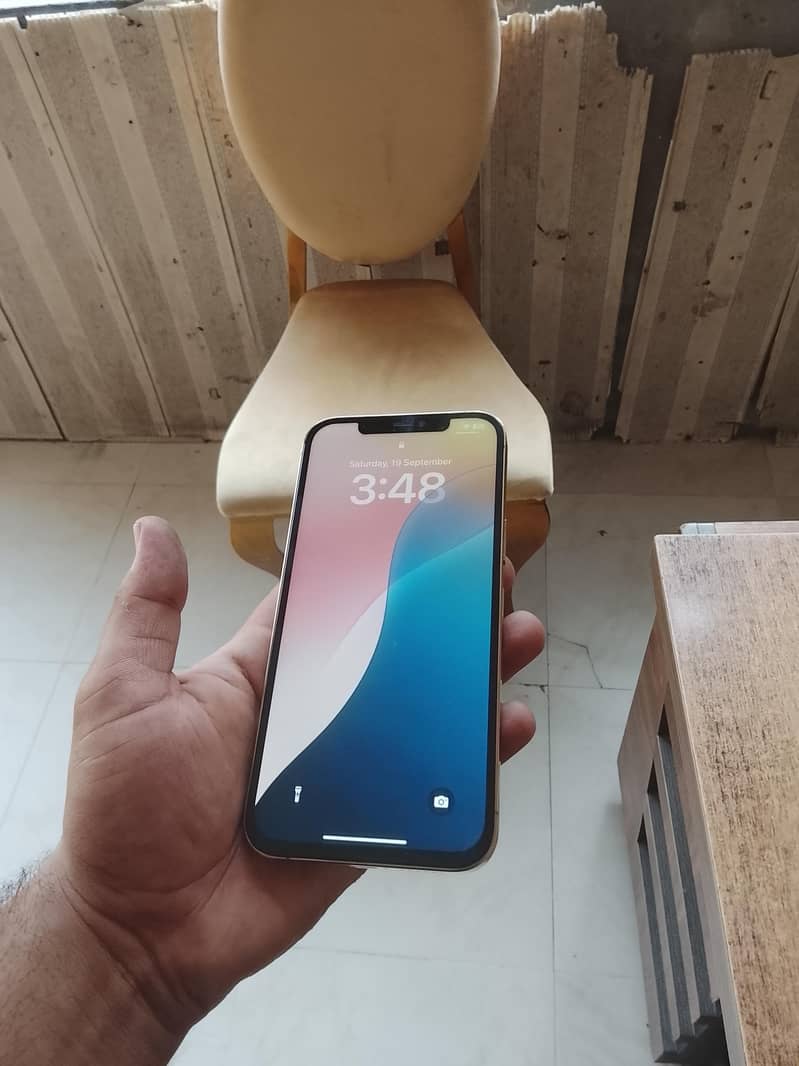 Apple iPhone 12 Pro Max 2