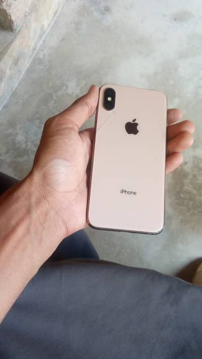 Apple iPhone XS Exchange posibel