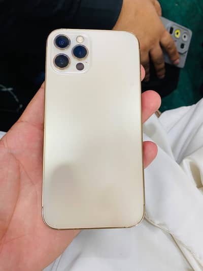 Apple iPhone 12 Pro golden 256 waterpack