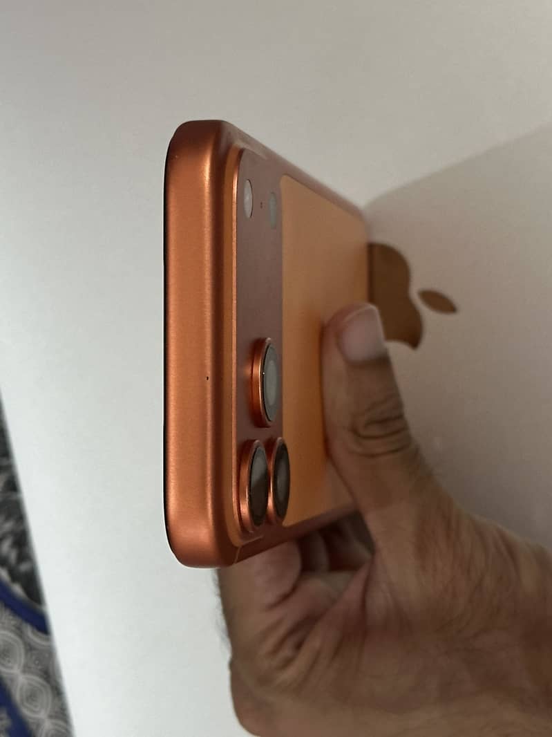 Apple iPhone 17 Pro Max 4