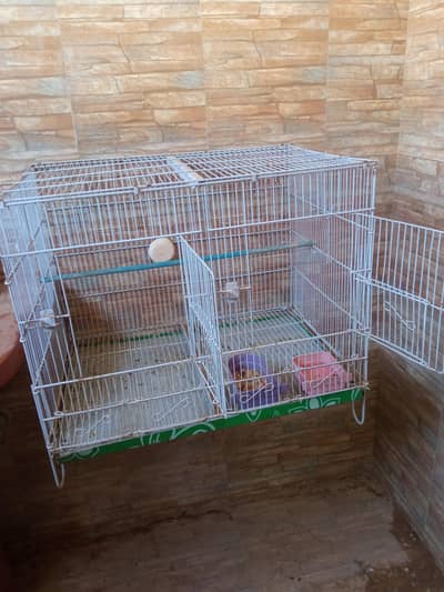 cage or rambow pair for sell.  read discrebsion