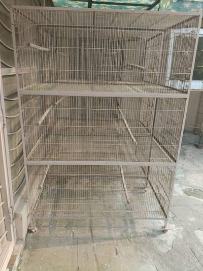Birds Cage
