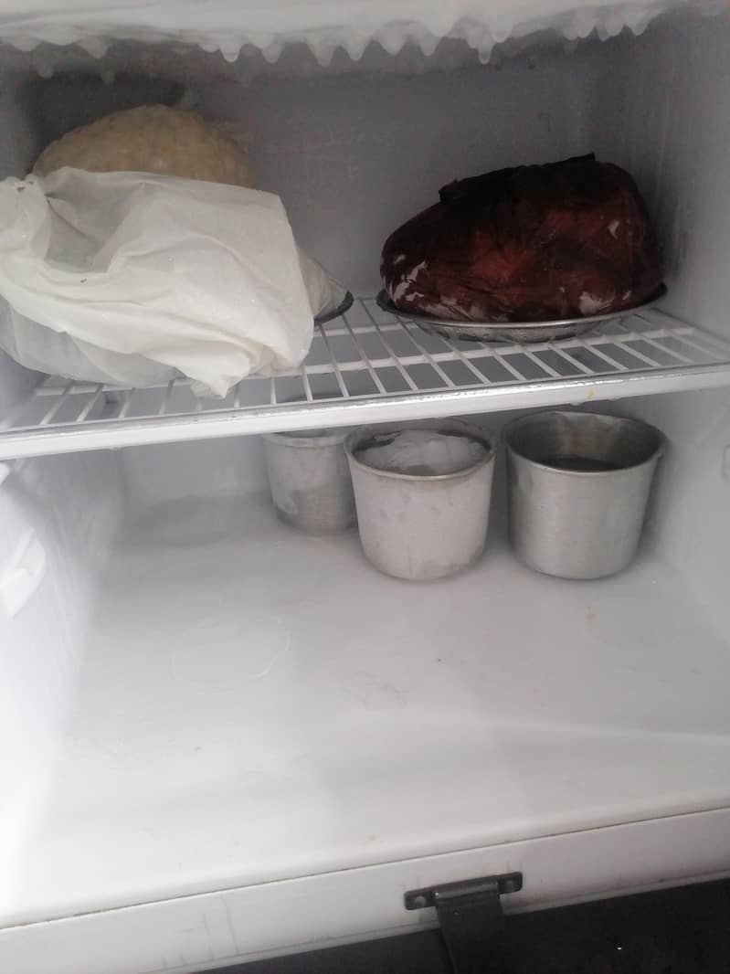 fridge 2