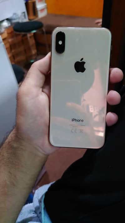 Apple iPhone X